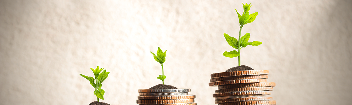 Trzy stosy monet na kt&oacute;rej rosną roślinki.