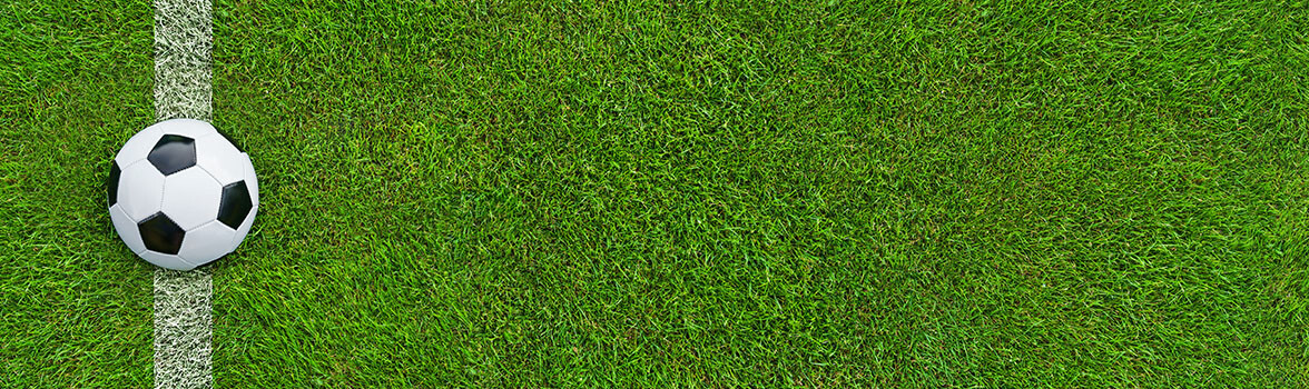 Murawa. Na linii piłka. 