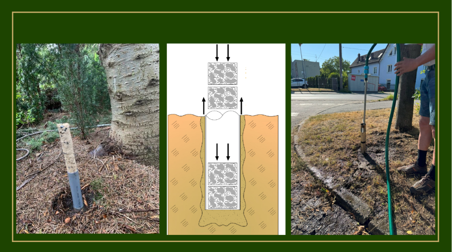 rdzenie z wł&oacute;kien celulozowych